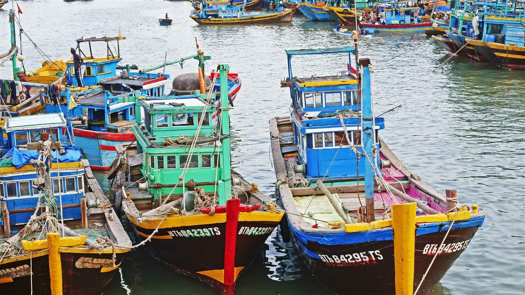 Fishing boats are docked at port in Pha Thiet, Viet Nam. A new toolkit developed by Pew and partners can help seafood retailers verify that the fish they are buying was caught legally