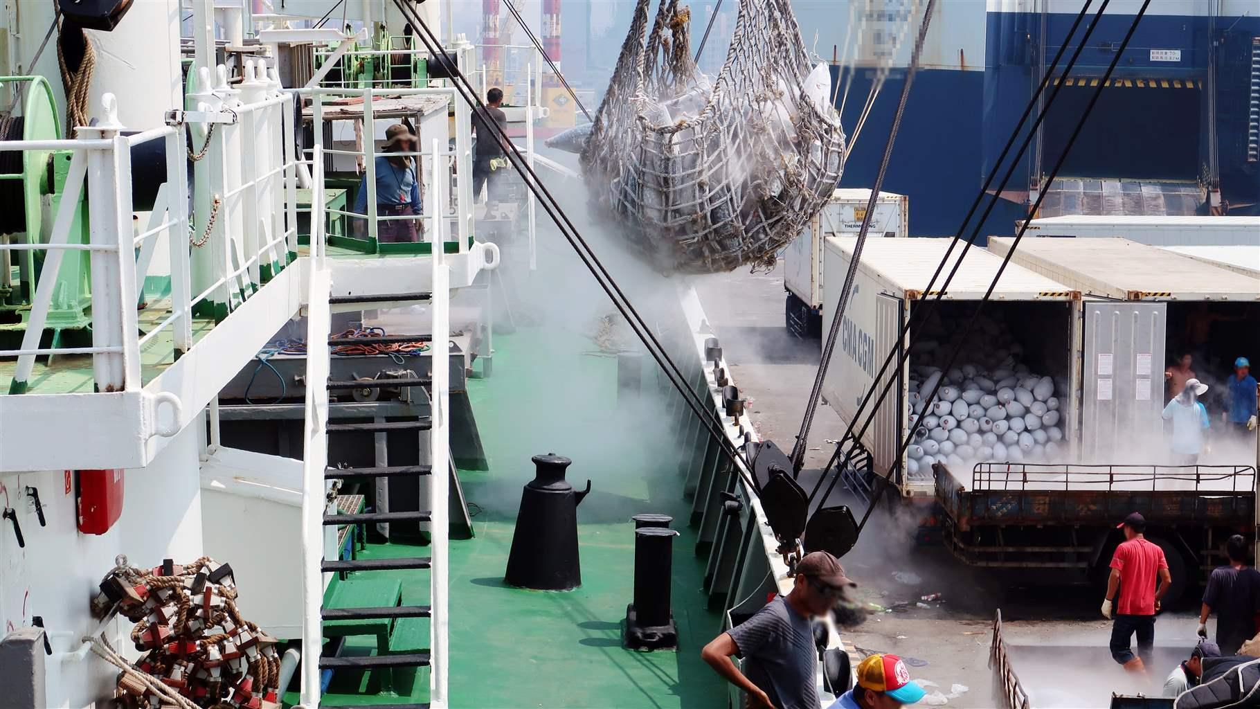 A vessel moves tuna to a carrier for transport to a seafood processor in a handoff known as transshipment. Although most transshipment is conducted legally, loose regulations can enable nefarious operators to move illegally caught fish to market.