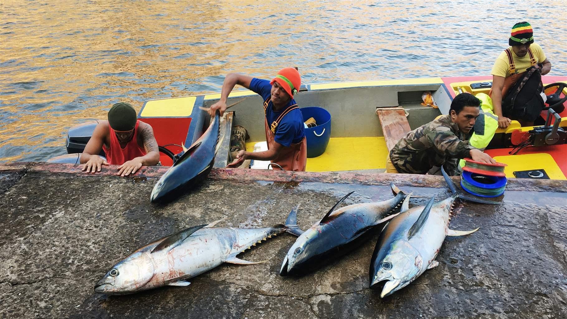Fishermen loading their catch and gear onto a dock in the Marquesas Islands. 