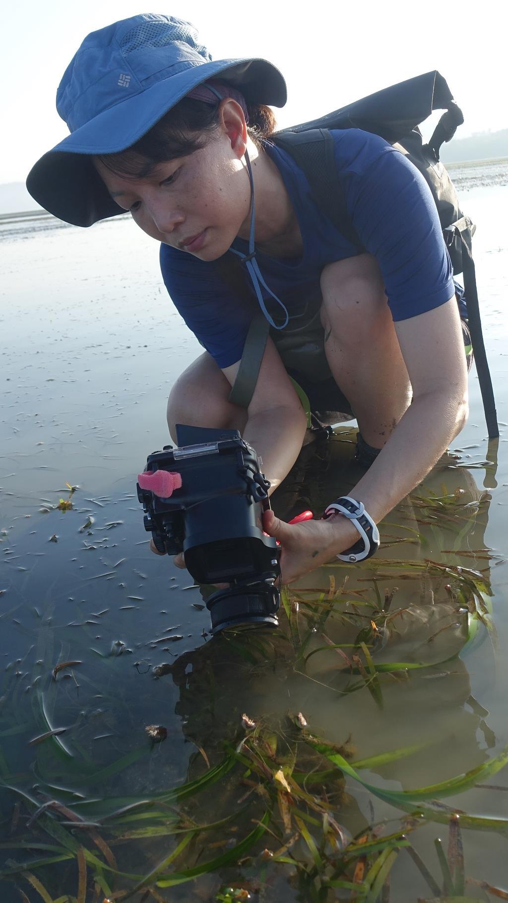 With camera in hand, Jillian Ooi documents flowering seagrass in the Setindan Island meadow, Malaysia. Ooi will investigate techniques and identify conditions to improve seagrass restoration practices.