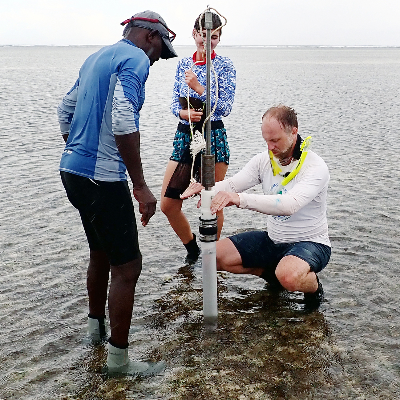 Seychelles Seagrass Research Supports Country's Climate Commitment