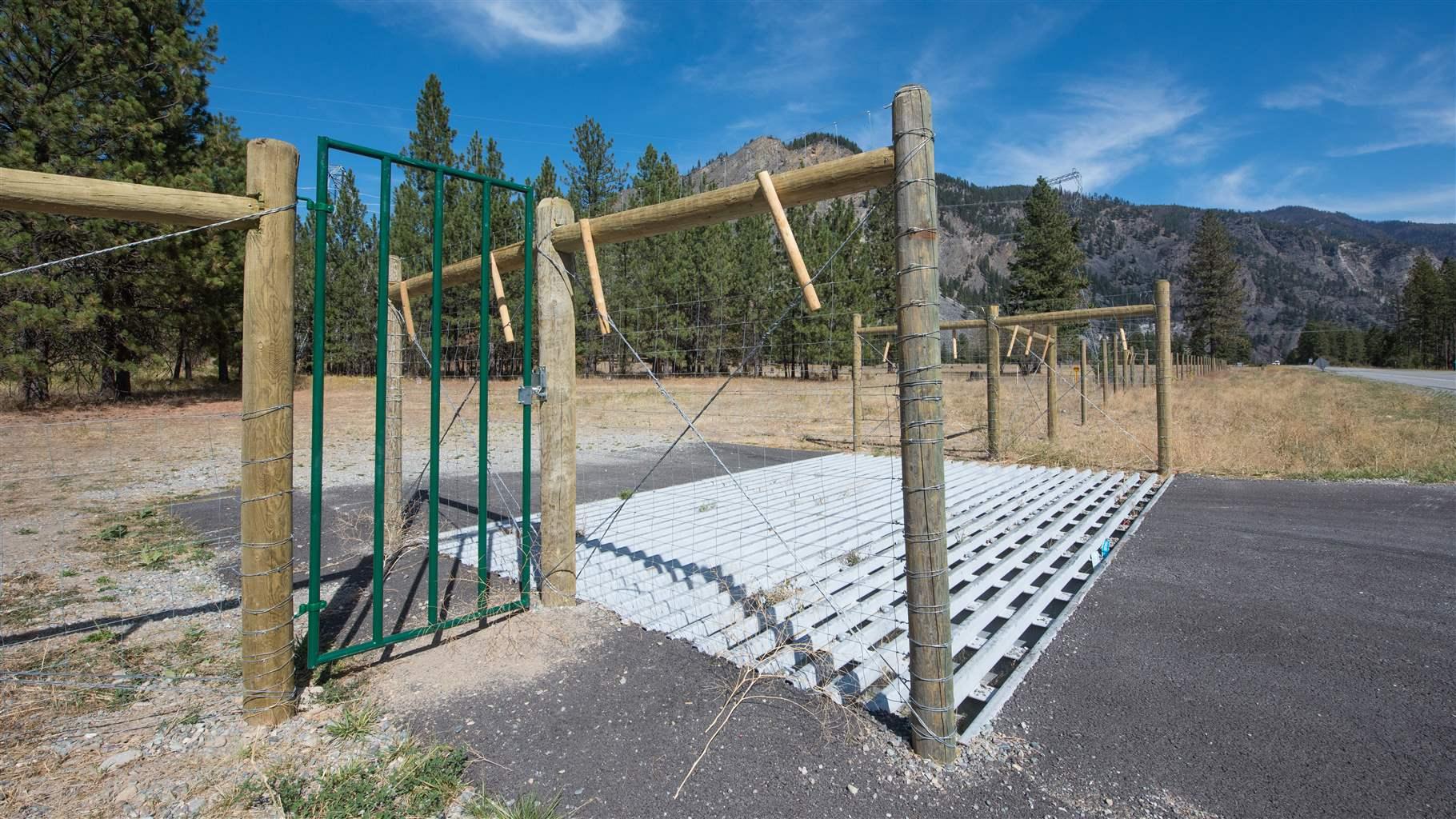 Wildlife guard (cattle guard) for  bighorn sheep 