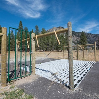 Wildlife guard (cattle guard) for  bighorn sheep 