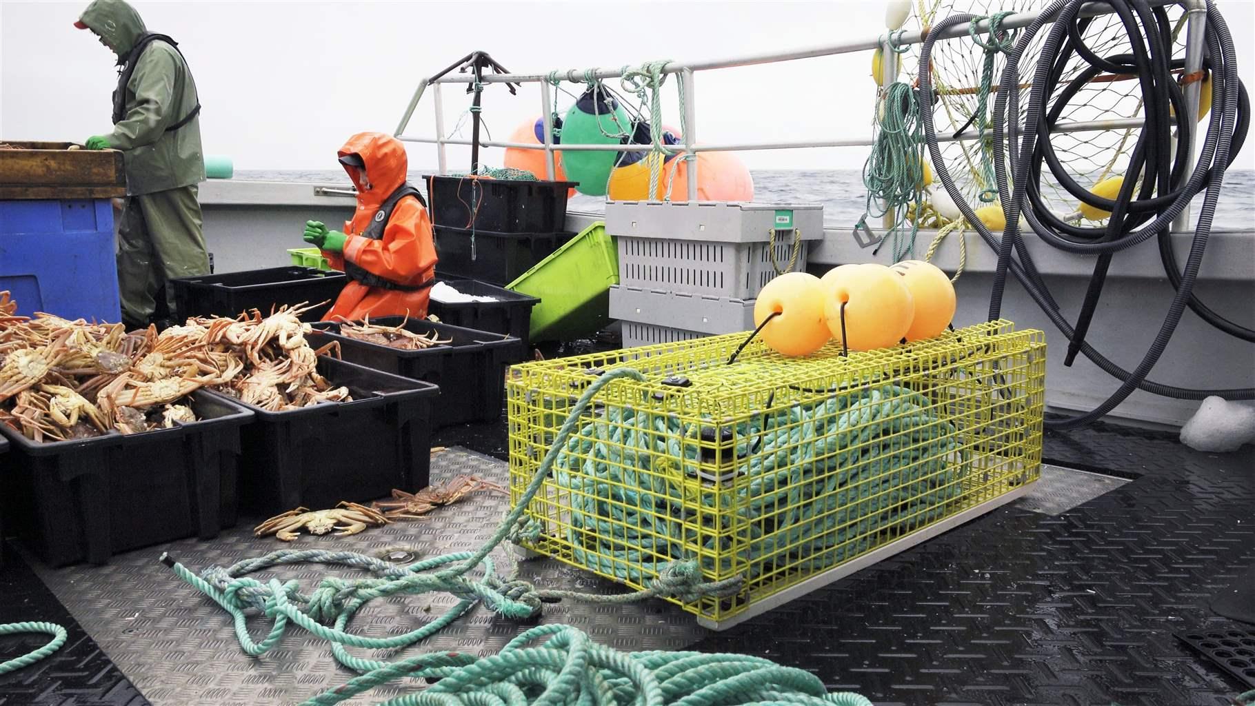 Fishermen in Canada’s Gulf of St. Lawrence use” on-demand” gear to retrieve their crab traps. While traditional fishing gear relies on many ropes to connect to the surface and can pose serious entanglement danger to North Atlantic right whales and other marine life, on-demand systems can minimize these threats.