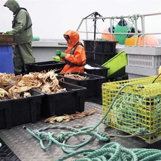 Fishermen in Canada’s Gulf of St. Lawrence use” on-demand” gear to retrieve their crab traps. While traditional fishing gear relies on many ropes to connect to the surface and can pose serious entanglement danger to North Atlantic right whales and other marine life, on-demand systems can minimize these threats.