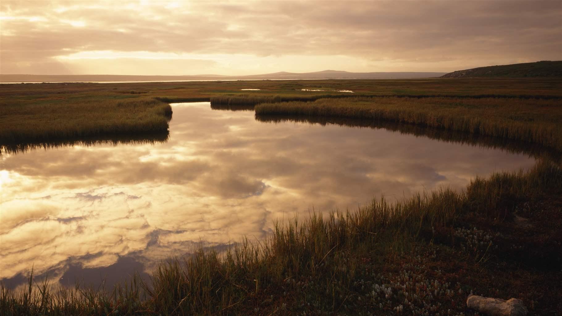 Clouds are reflected in the water of the Cape Geelbek salt marsh at sunrise.  West Coast National Park, Western Cape Province, South Africa