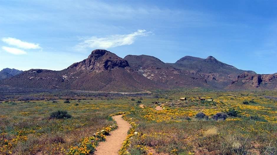 A trail leads to the Franklin Mountains, which attract visitors who come to hike, camp, and mountain bike. 