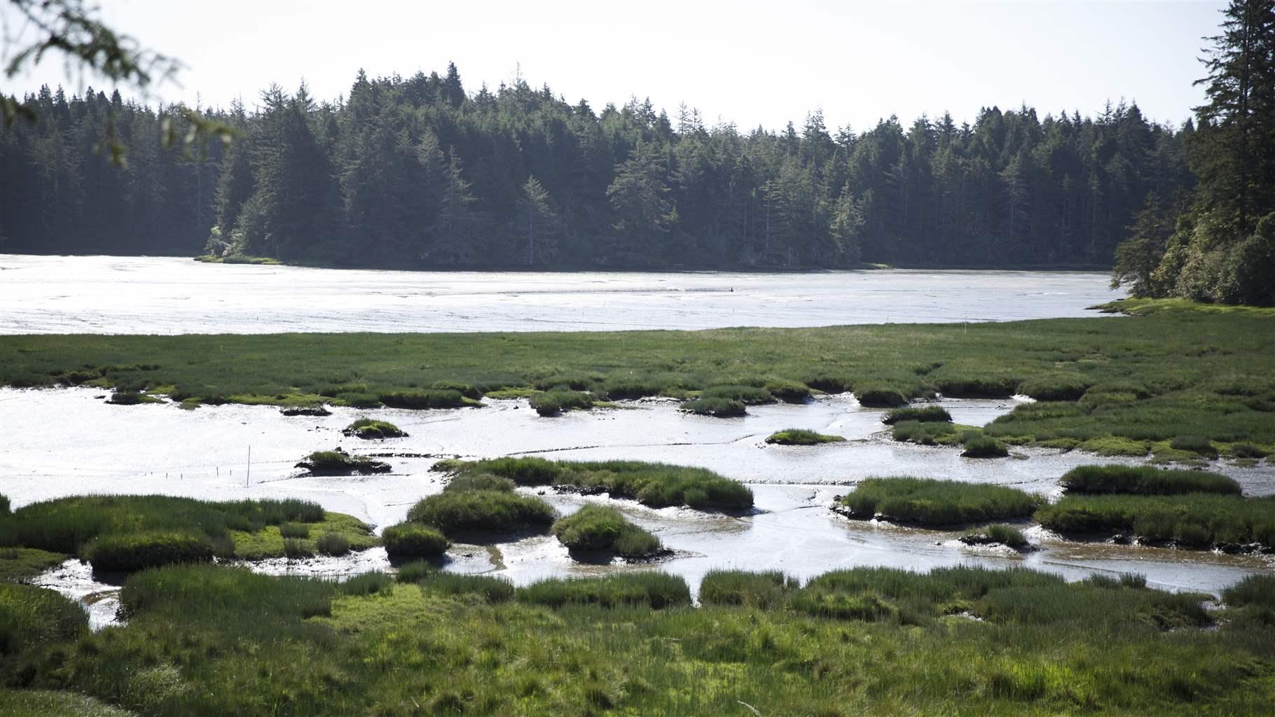 The Estuary, in Coos Bay, Oregon