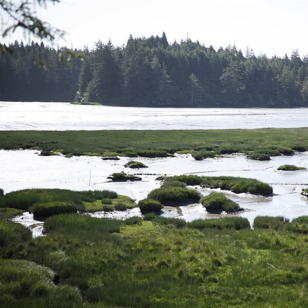 The Estuary, in Coos Bay, Oregon