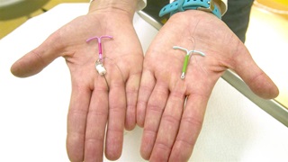 Doctor showing IUDs