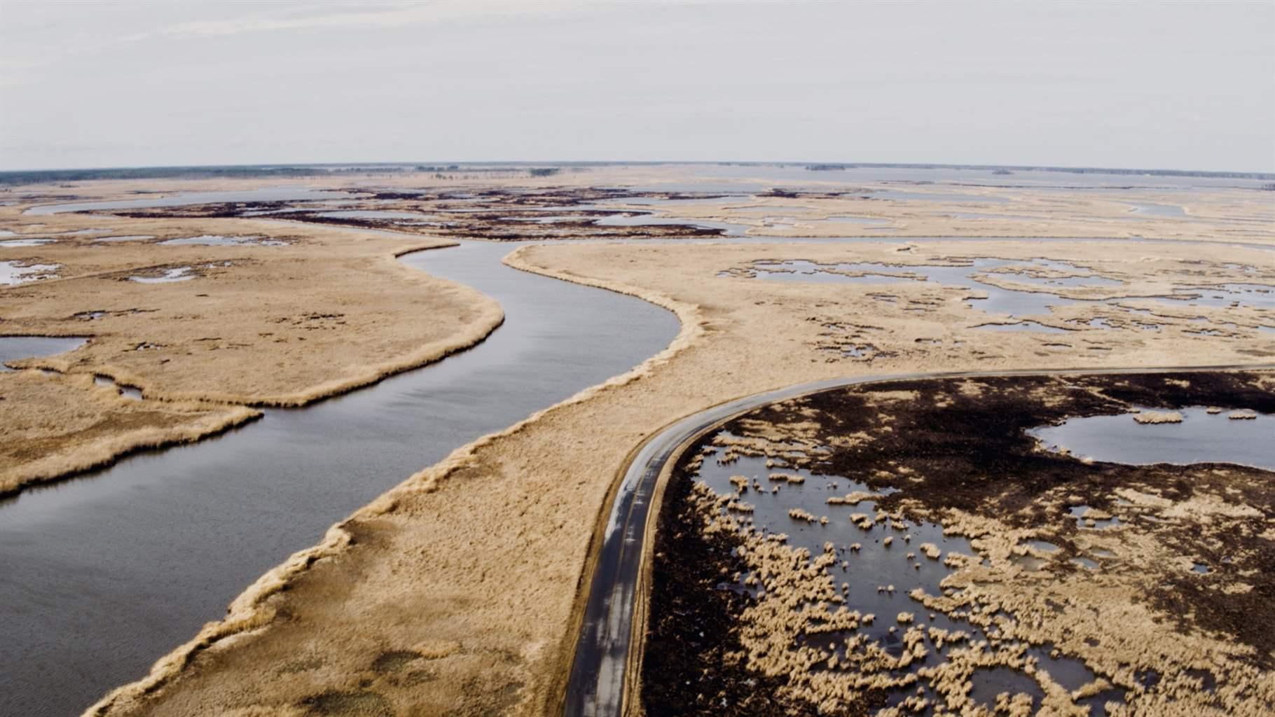 aerial view