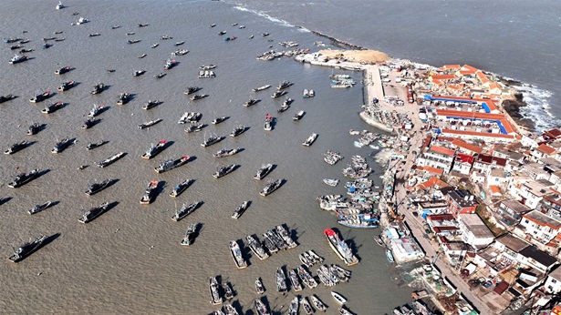 An aerial photo taken on Nov. 22, 2021 shows fishing boats taking shelter In the harbor in lianyungang city, East China's Jiangsu Province. 
