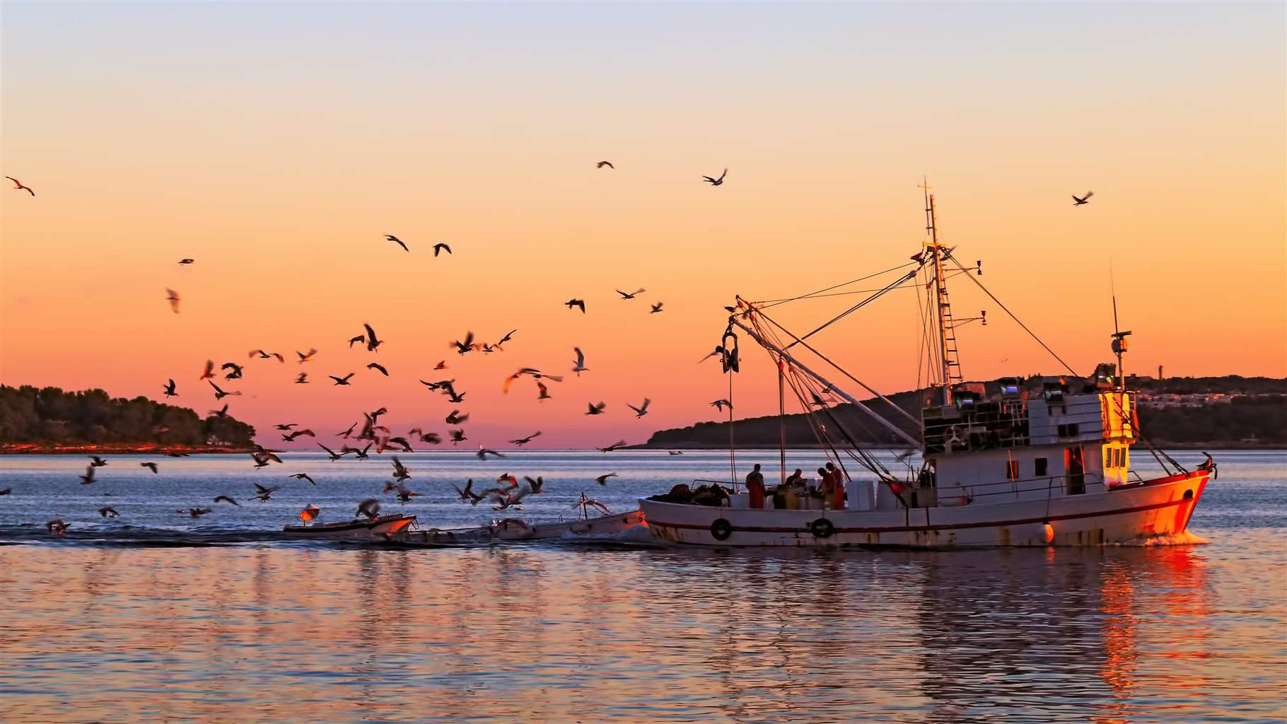 Fishing vessel