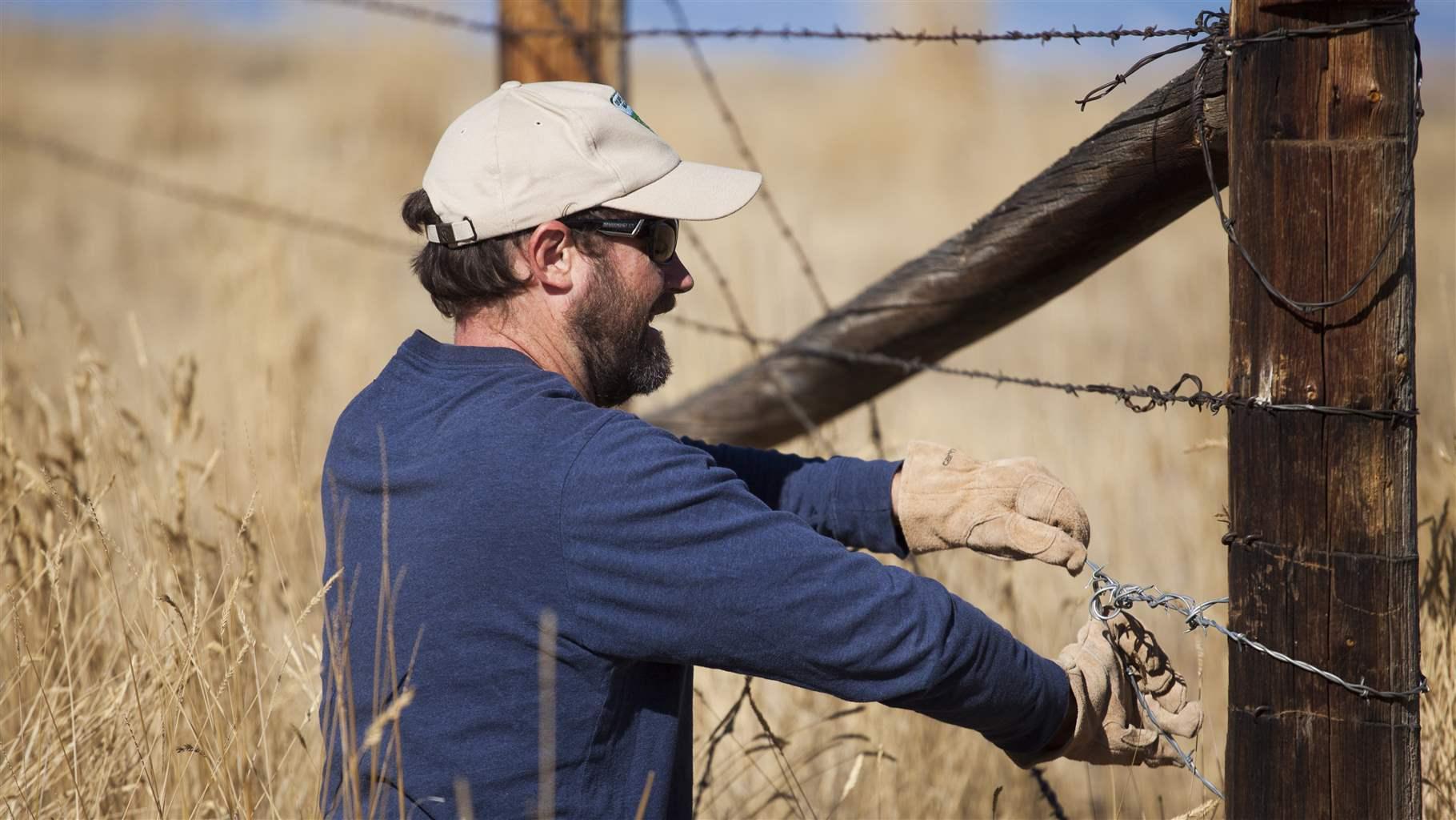 A Bureau of Land Management volunteer helps remove antiquated fencing—which will be replaced with wildlife-friendly fencing—along a pronghorn migration corridor in Wyoming.