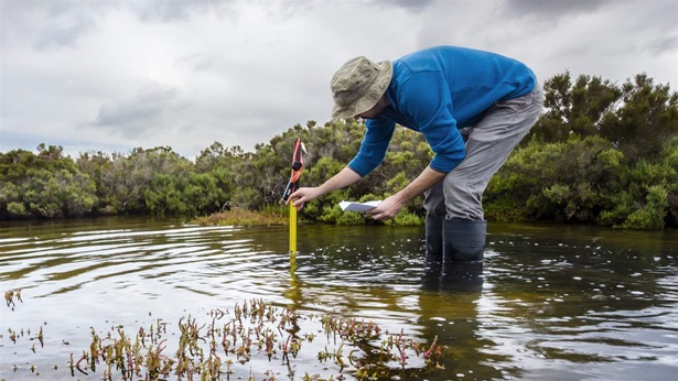 Scientist measuring water depth