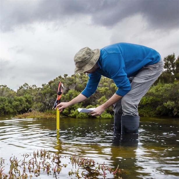 Scientist measuring water depth