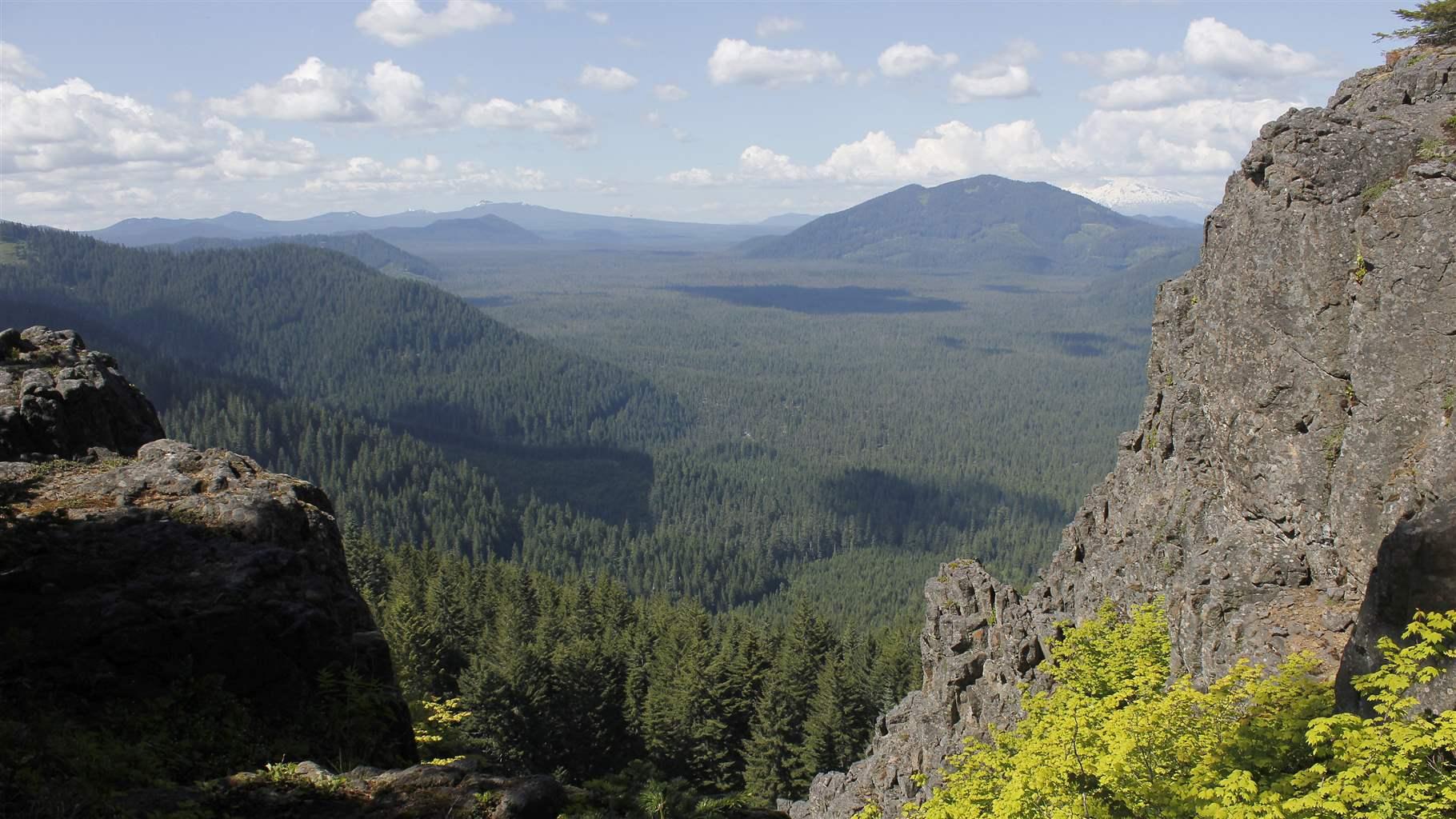 Green forests stretch to the horizon from this overlook on Big Huckleberry Mountain in the Gifford Pinchot National Forest in Washington