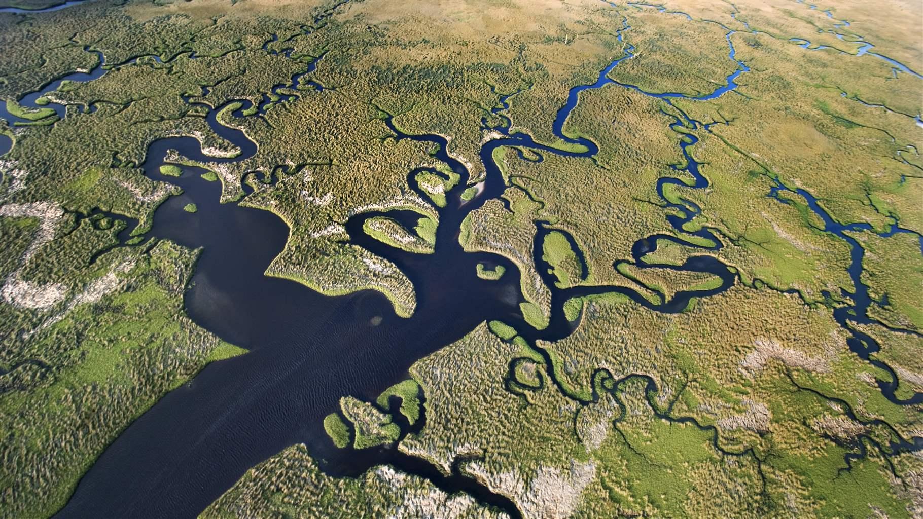 Aerial view of Florida Everglades