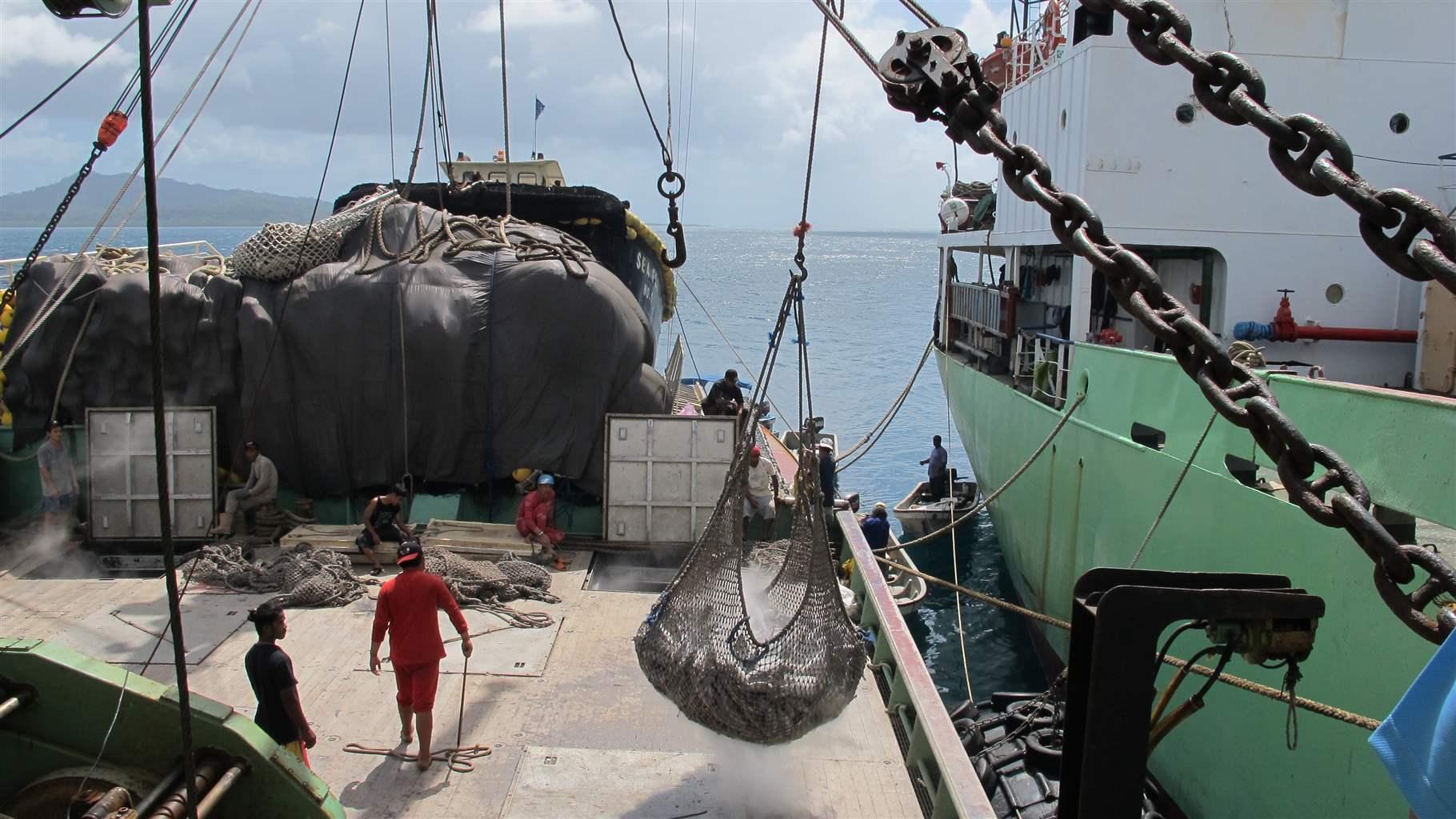 To Improve Tuna Sustainability in Eastern Pacific, Fishery Managers Must  Build on Progress