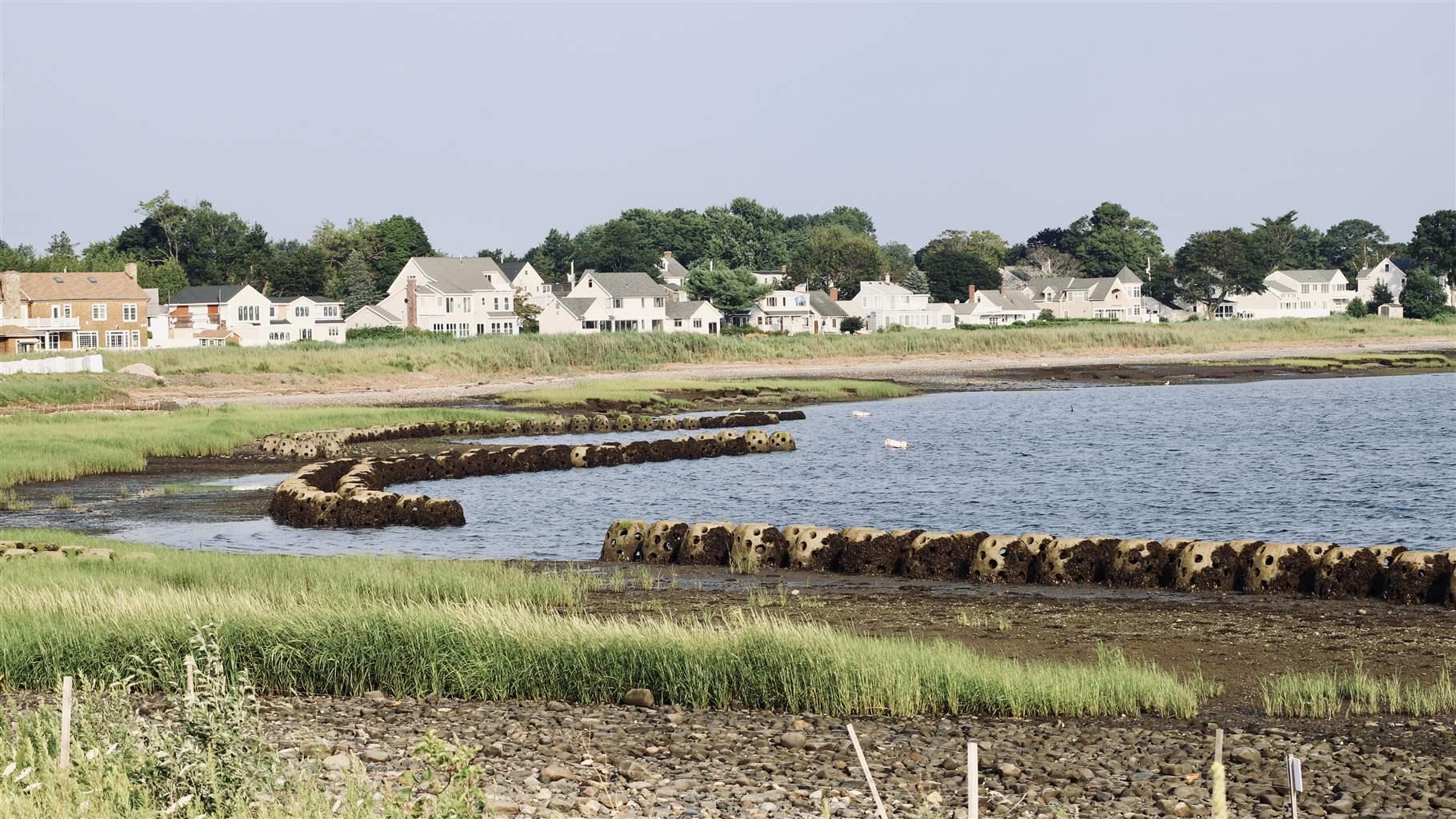 The reef balls placed in this cove in Stratford, Connecticut, will provide surfaces on which wild oyster larvae can settle.