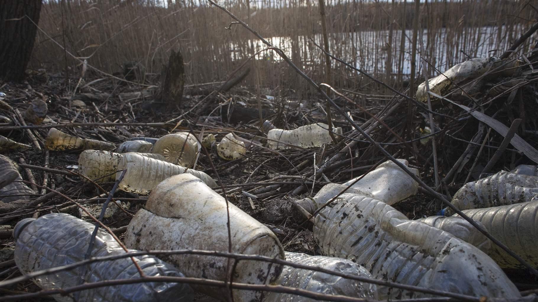 Plastic bottles and other refuse lay washed up on the banks of a tidal inlet off the Delaware River at Pennypack On The Delaware Park in Philadelphia, PA, February 8, 2020.
