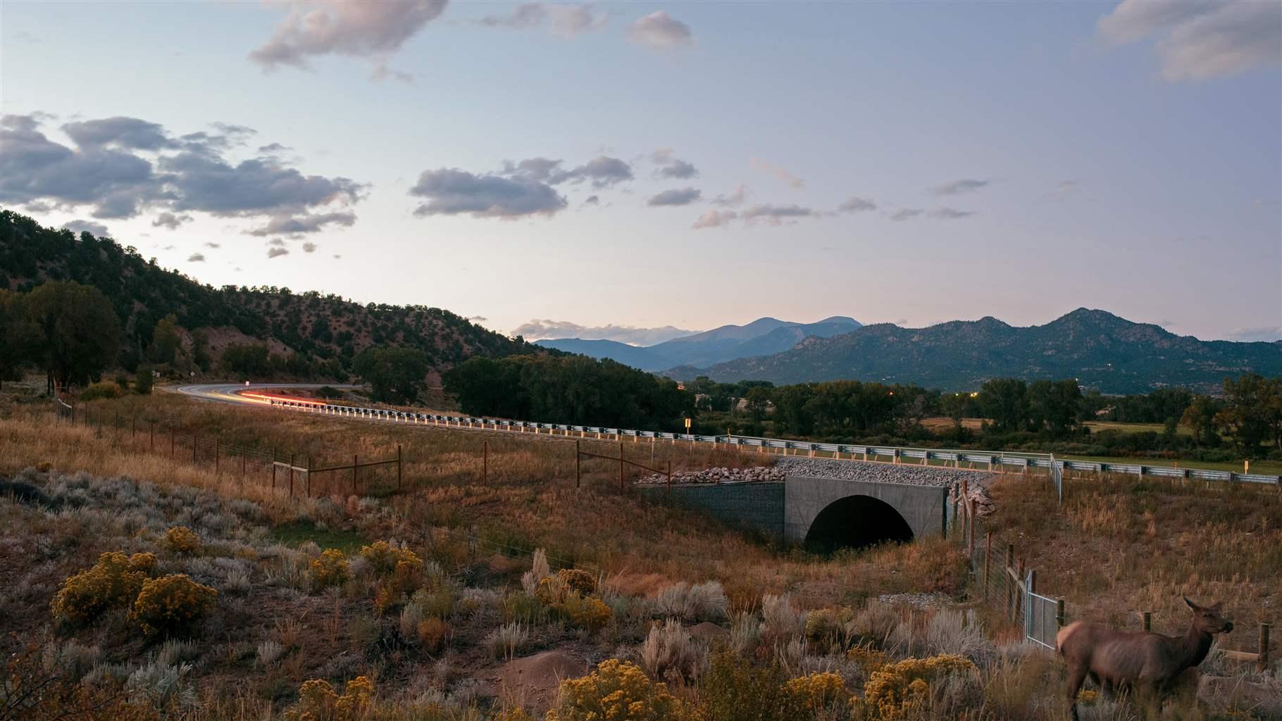 Wildlife crossings under U.S. Route 285 near Buena Vista, Colorado