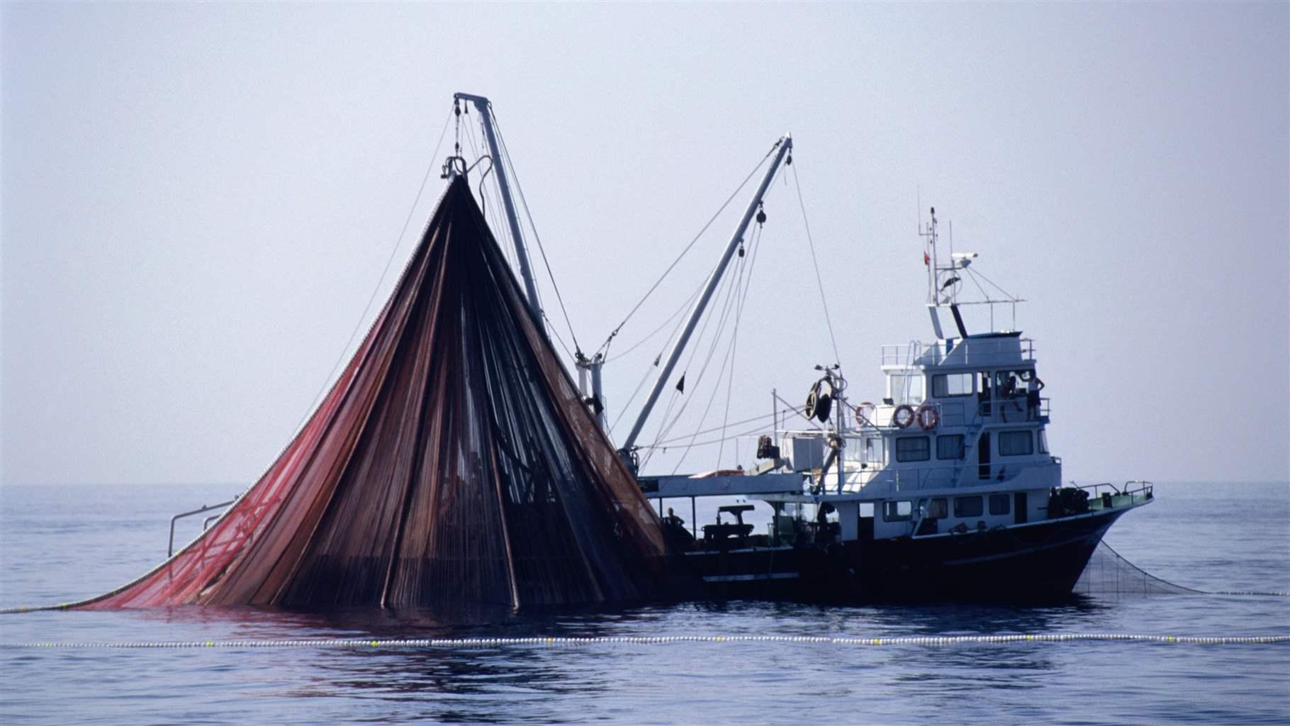 Tuna Fishing Boat Raising its Fishing Net