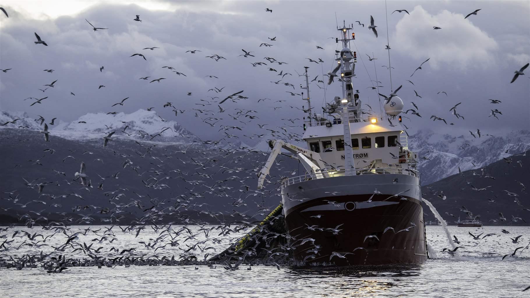 To Improve Fisheries and Ocean Health, Northeast Atlantic Decision