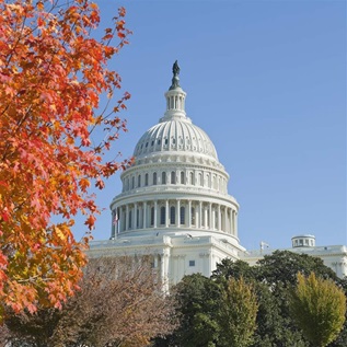 Capitol hill Washington DC in fall