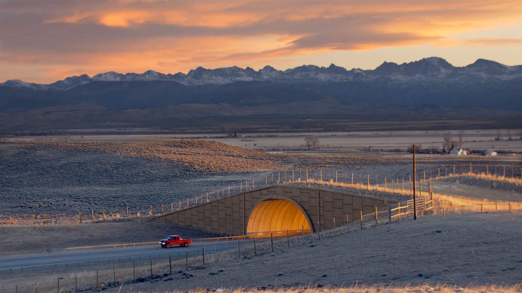 The Trappers Point wildlife crossing over U.S. Highway 191 in Wyoming. A red pickup truck emerges from the tunnel under the land bridge at sunset. The Wind River mountains are in the distance.