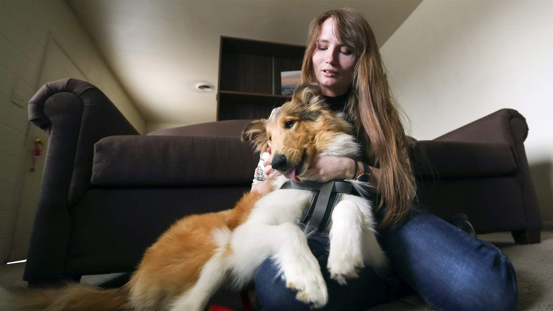 States Struggle to Curb Fake Emotional Support Animals | The Pew Charitable Trusts States Struggle to Curb Fake Emotional Support Animals | The Pew Charitable Trusts