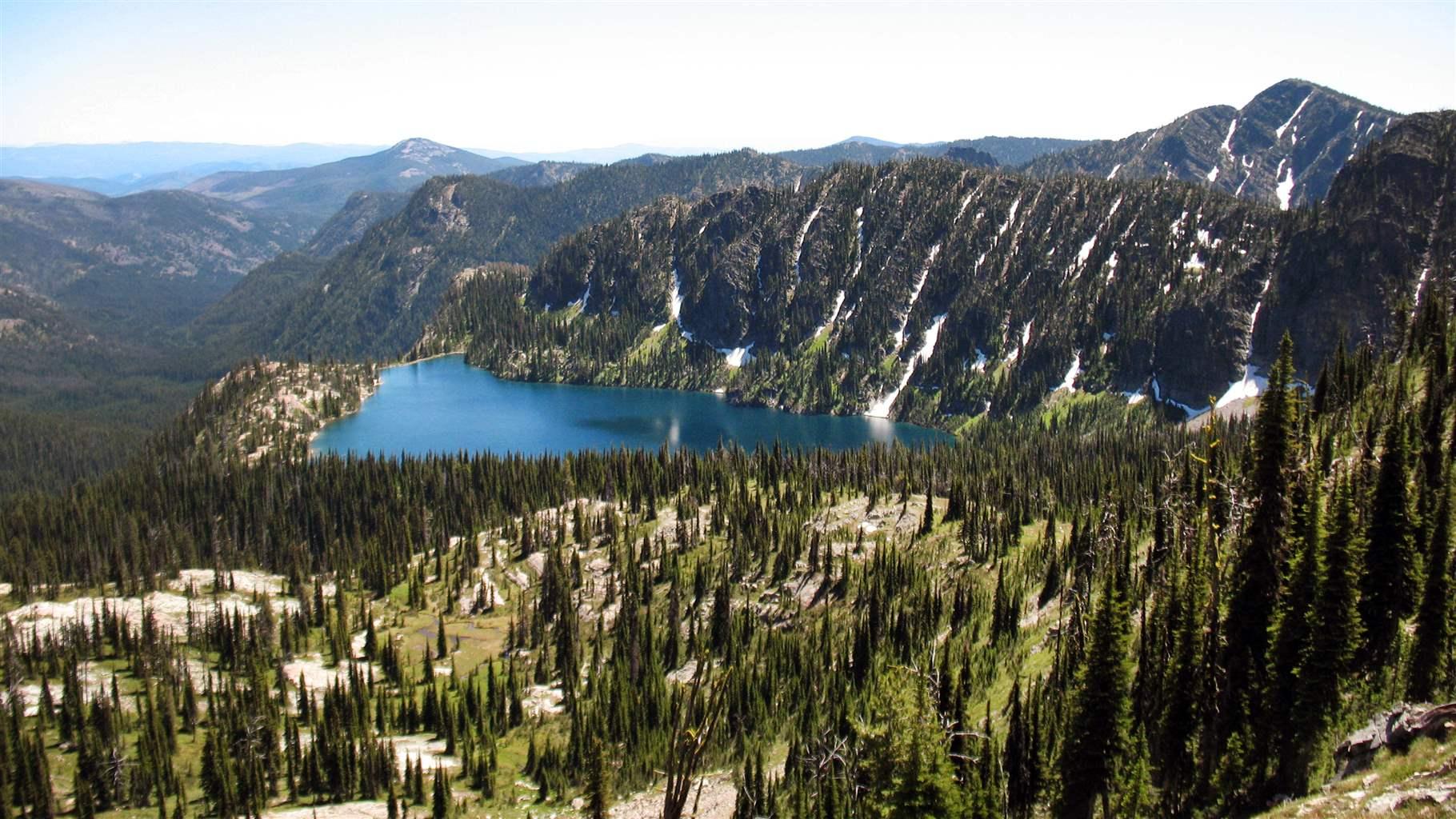 Lolo National Forest in Montana