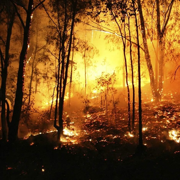 From a bushfire in 2007 where 2000 Hectares were burnt out.