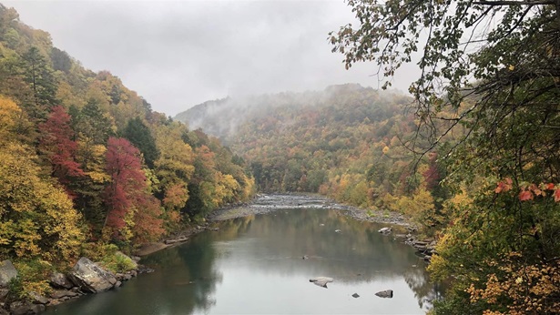 Fall foliage colors the hills lining the Cheat River in Jenkinsburg, West Virginia. The river features tranquil pools along with long sections of Class III and IV rapids that draw whitewater boaters from throughout the region.