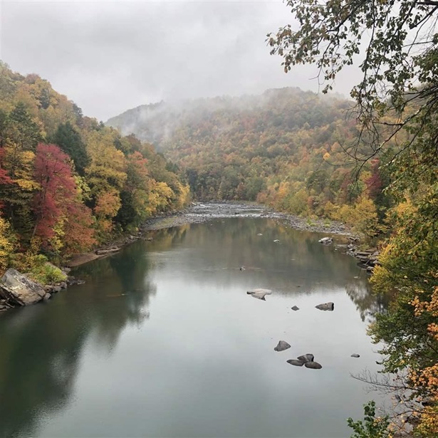 Fall foliage colors the hills lining the Cheat River in Jenkinsburg, West Virginia. The river features tranquil pools along with long sections of Class III and IV rapids that draw whitewater boaters from throughout the region.