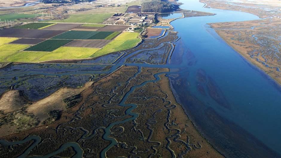 California’s Elkhorn Slough