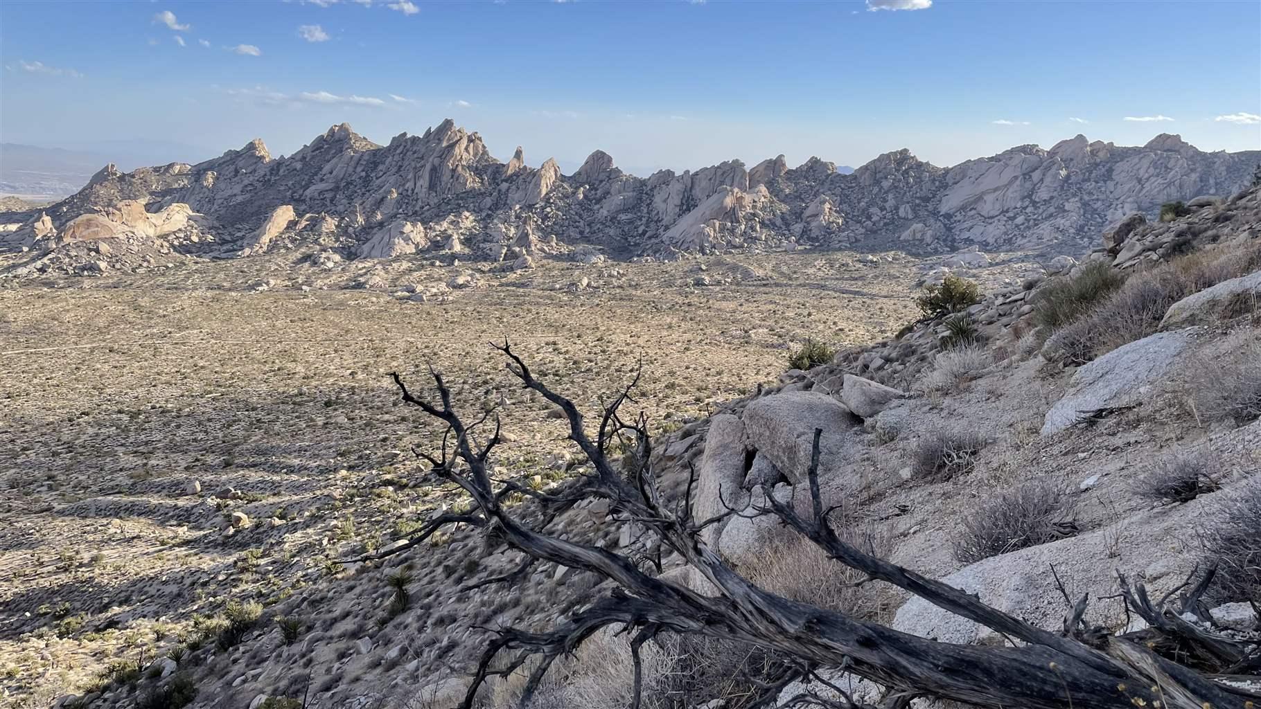 The rugged landscape of Avi Kwa Ame (the Mojave name for Spirit Mountain) in southern Nevada 