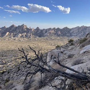 The rugged landscape of Avi Kwa Ame (the Mojave name for Spirit Mountain) in southern Nevada 