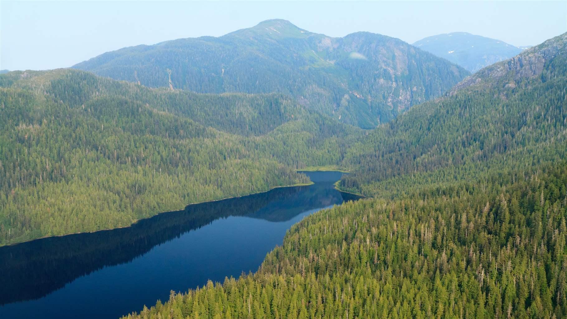 Aerial view of Tongass National Forest (Alaska)
