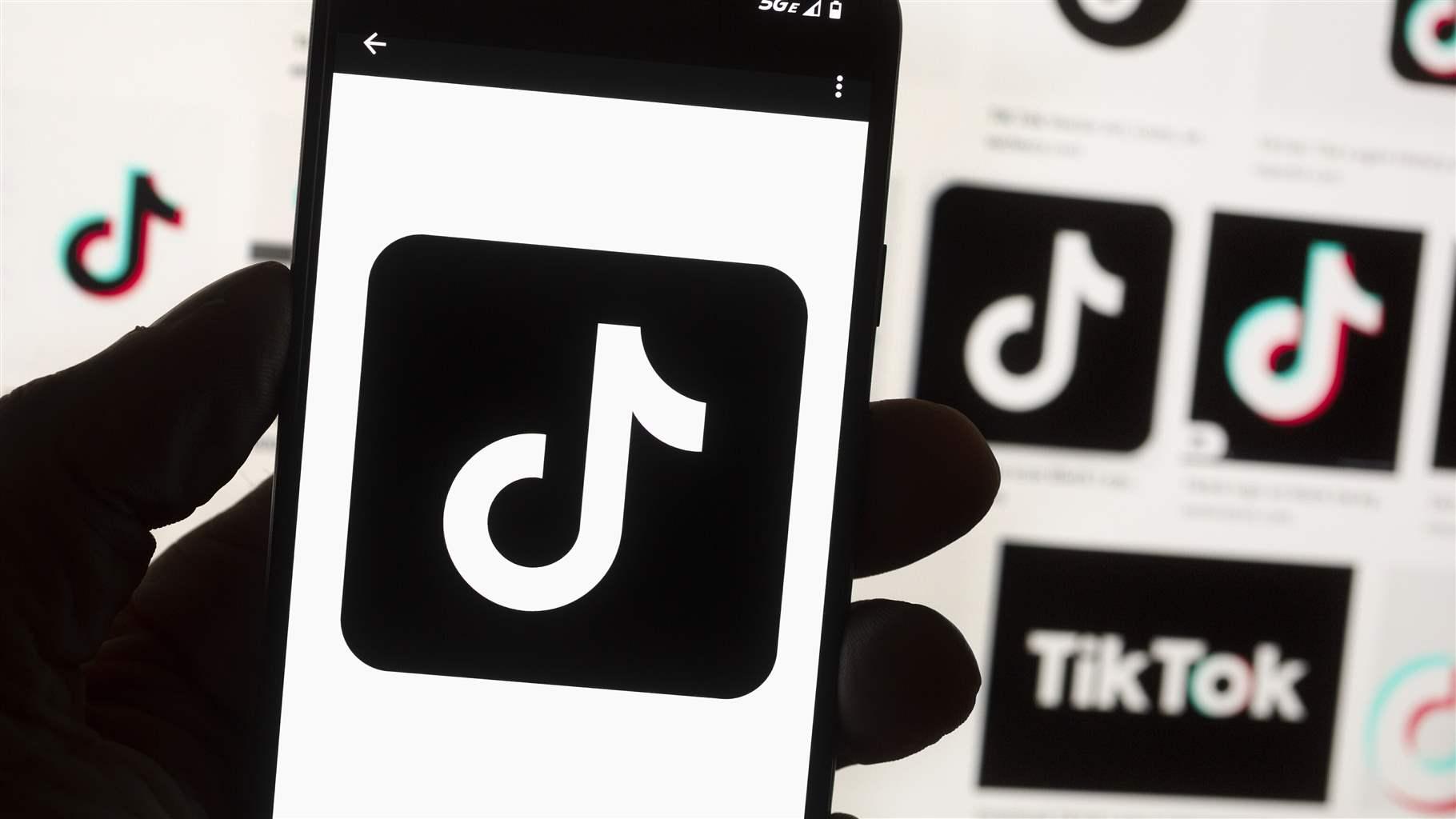The TikTok logo The TikTok logo