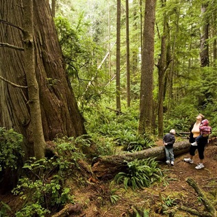 Pew Supports Science-Based Review of Northwest Forest Plan