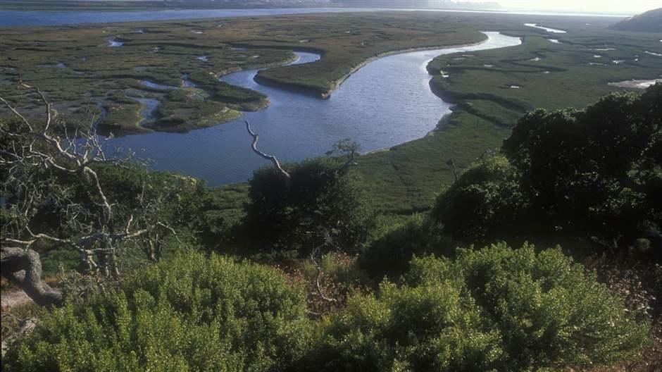 Elkhorn Slough National Estuarine Research Reserve along the central shore of California’s Monterey Bay 