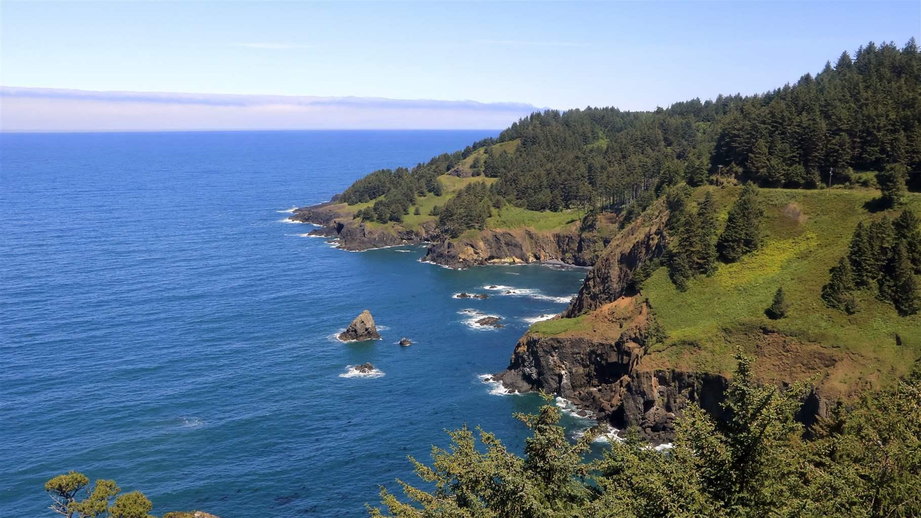 Cape Foulweather offers captivating vistas that often include gray whales feeding in offshore kelp beds, seabirds resting on sheer cliffs, and waves pounding on rocks.
