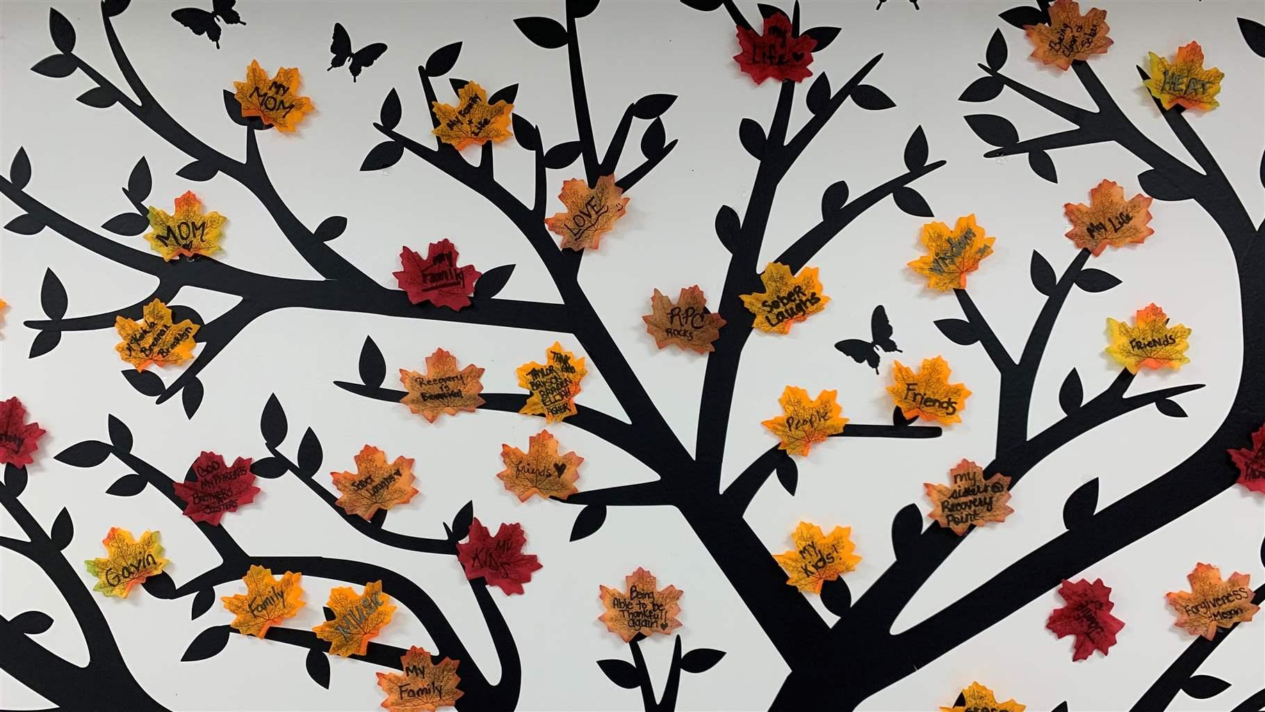 In one of Recovery Point's community rooms, a tree is painted on the wall. On it, the women have hung autumn leaves they collected outside. 