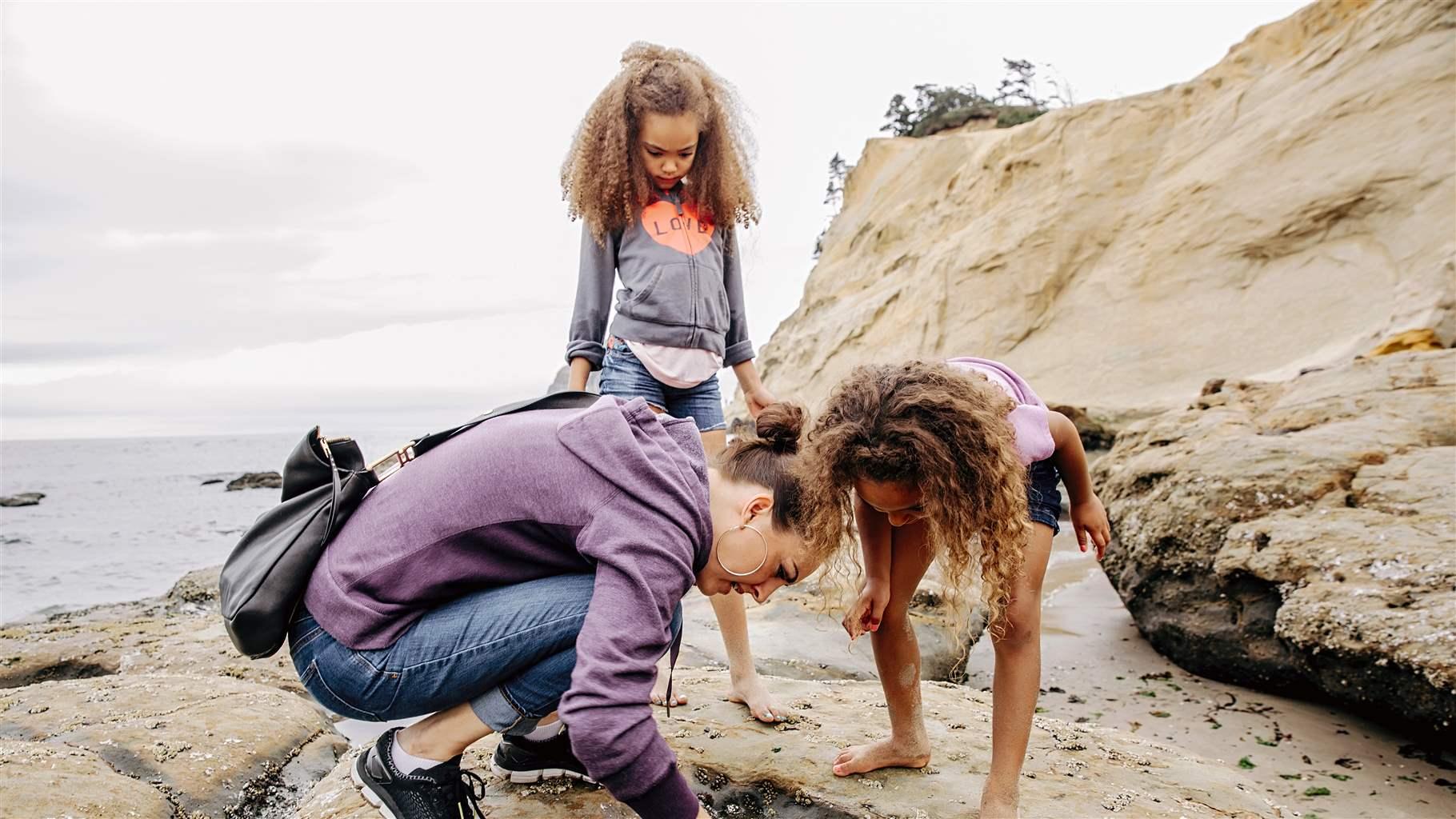 Beachgoers explore one of Oregon’s numerous tide pools—dynamic intertidal habitats where visitors can see marine life up close. 
