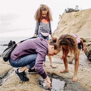 Beachgoers explore one of Oregon’s numerous tide pools—dynamic intertidal habitats where visitors can see marine life up close. 
