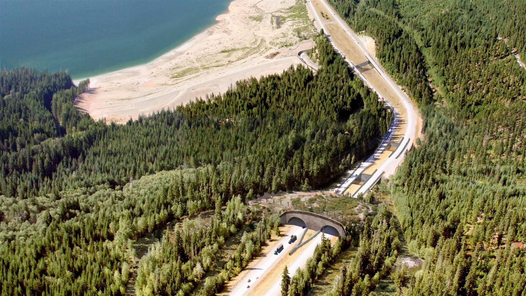 A bird’s-eye view shows a rendering of the Snoqualmie Pass wildlife overpass on I-90 in Washington, one of 27 structures that, when completed in 2029, will connect terrestrial and aquatic habitats along one of the busiest corridors in the Pacific Northwest.