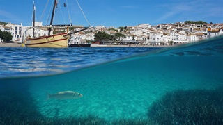 In the foreground, a fish swims past seagrass in the aquamarine waters off the coast of Cadaqués, Spain, a village of whitewashed buildings with terra cotta roofs. A pale yellow sailboat with burgundy trim is moored along the town’s shoreline.