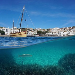 In the foreground, a fish swims past seagrass in the aquamarine waters off the coast of Cadaqués, Spain, a village of whitewashed buildings with terra cotta roofs. A pale yellow sailboat with burgundy trim is moored along the town’s shoreline.
