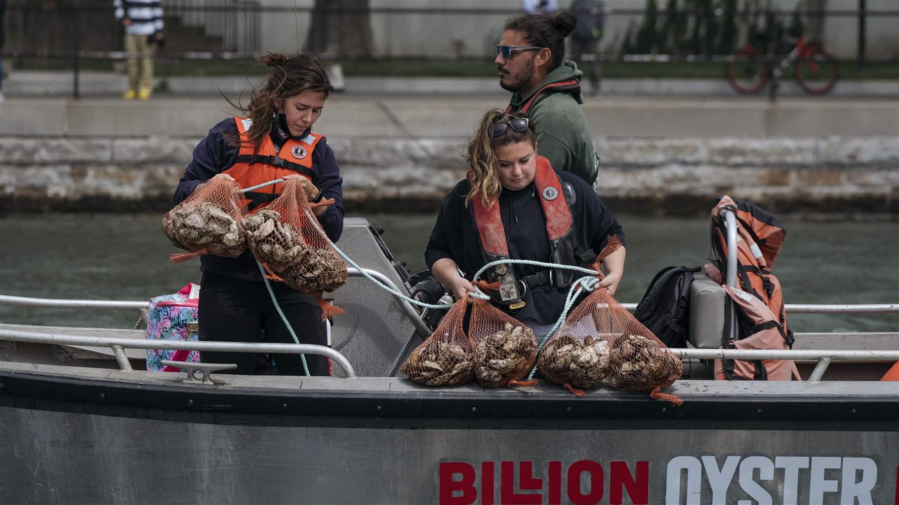 Danielle Bissett, the director of restoration for the Billion Oyster Project and Rebecca Resner, the hatchery manager for Billion Oyster Project, place bags of oysters into Buttermilk Channel off of Governor's Island on May 28, 2021.
